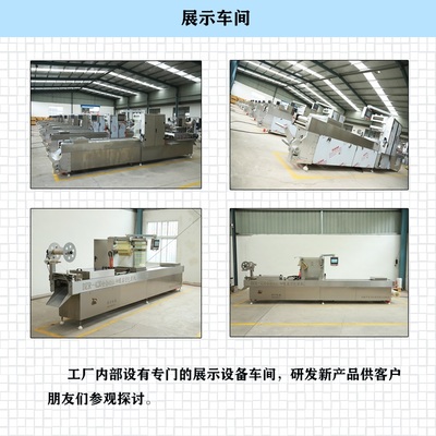 DZ-520光電器件 技術(shù)特性、應(yīng)用領(lǐng)域與市場(chǎng)前景分析