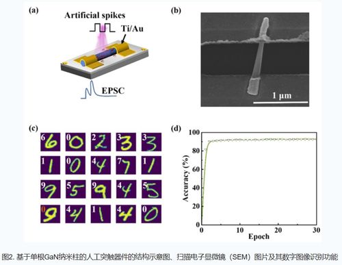 新型氮化鎵基光電器件 中國科學院突破效率瓶頸，助推綠色半導體革命